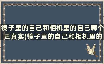 镜子里的自己和相机里的自己哪个更真实(镜子里的自己和相机里的自己哪个更真实一点)