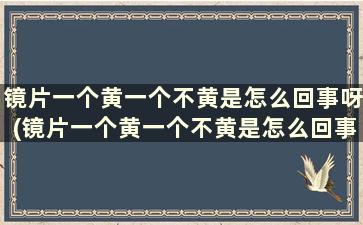 镜片一个黄一个不黄是怎么回事呀(镜片一个黄一个不黄是怎么回事呢)