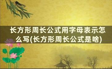 长方形周长公式用字母表示怎么写(长方形周长公式是啥)