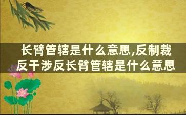 长臂管辖是什么意思,反制裁反干涉反长臂管辖是什么意思