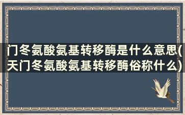 门冬氨酸氨基转移酶是什么意思(天门冬氨酸氨基转移酶俗称什么)