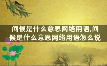 问候是什么意思网络用语,问候是什么意思网络用语怎么说