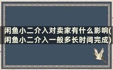 闲鱼小二介入对卖家有什么影响(闲鱼小二介入一般多长时间完成)