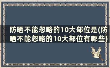 防晒不能忽略的10大部位是(防晒不能忽略的10大部位有哪些)