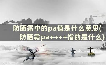 防晒霜中的pa值是什么意思(防晒霜pa++++指的是什么)