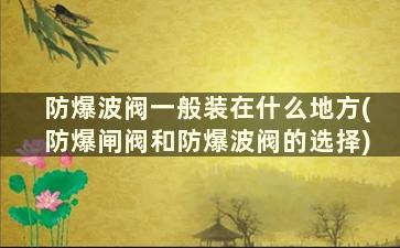 防爆波阀一般装在什么地方(防爆闸阀和防爆波阀的选择)