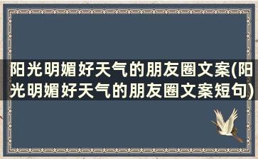 阳光明媚好天气的朋友圈文案(阳光明媚好天气的朋友圈文案短句)