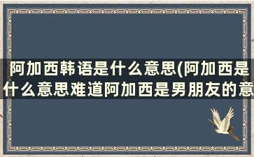 阿加西韩语是什么意思(阿加西是什么意思难道阿加西是男朋友的意思)