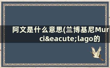 阿文是什么意思(兰博基尼Murciélago的中文是什么~~~音译又是什么~~~)