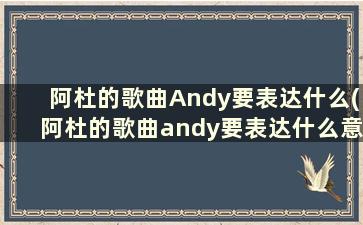 阿杜的歌曲Andy要表达什么(阿杜的歌曲andy要表达什么意思呢)