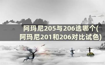 阿玛尼205与206选哪个(阿玛尼201和206对比试色)