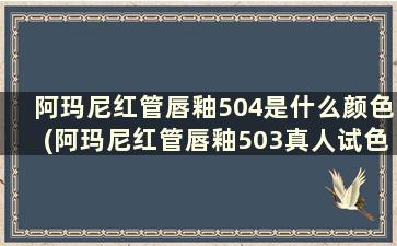 阿玛尼红管唇釉504是什么颜色(阿玛尼红管唇釉503真人试色)