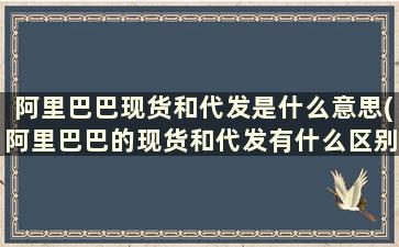 阿里巴巴现货和代发是什么意思(阿里巴巴的现货和代发有什么区别)