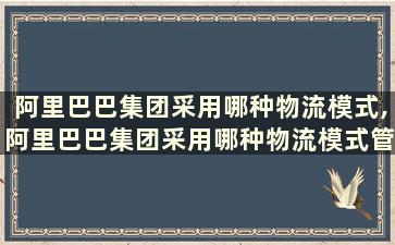 阿里巴巴集团采用哪种物流模式,阿里巴巴集团采用哪种物流模式管理