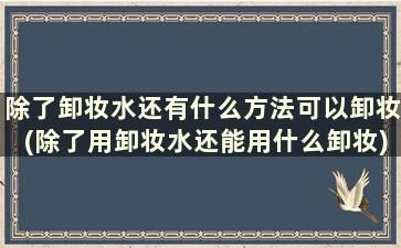 除了卸妆水还有什么方法可以卸妆(除了用卸妆水还能用什么卸妆)