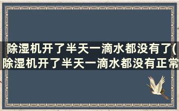 除湿机开了半天一滴水都没有了(除湿机开了半天一滴水都没有正常吗)