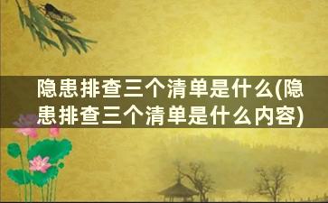 隐患排查三个清单是什么(隐患排查三个清单是什么内容)