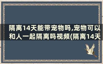 隔离14天能带宠物吗,宠物可以和人一起隔离吗视频(隔离14天能带宠物吗,宠物可以和人一起隔离吗为什么)