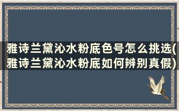 雅诗兰黛沁水粉底色号怎么挑选(雅诗兰黛沁水粉底如何辨别真假)