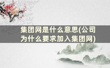 集团网是什么意思(公司为什么要求加入集团网)