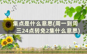 集点是什么意思(周一到周三24点转免2集什么意思)