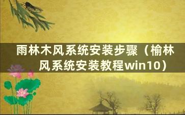 雨林木风系统安装步骤（榆林风系统安装教程win10）