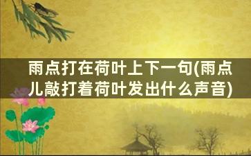 雨点打在荷叶上下一句(雨点儿敲打着荷叶发出什么声音)