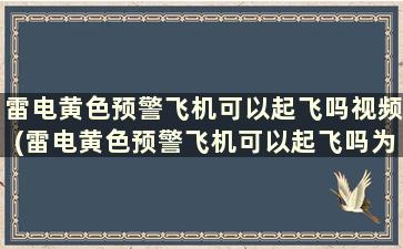 雷电黄色预警飞机可以起飞吗视频(雷电黄色预警飞机可以起飞吗为什么)