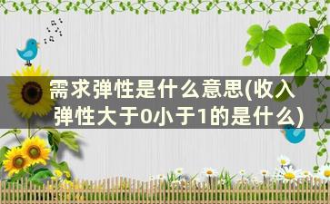 需求弹性是什么意思(收入弹性大于0小于1的是什么)