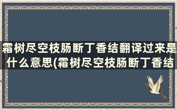 霜树尽空枝肠断丁香结翻译过来是什么意思(霜树尽空枝肠断丁香结冯延巳醉花间翻译)