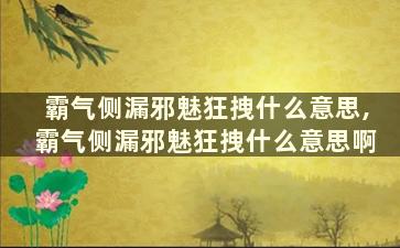 霸气侧漏邪魅狂拽什么意思,霸气侧漏邪魅狂拽什么意思啊