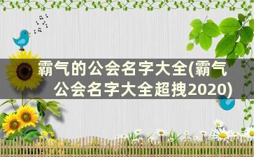 霸气的公会名字大全(霸气公会名字大全超拽2020)