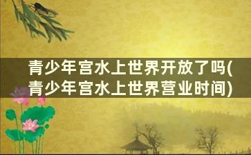 青少年宫水上世界开放了吗(青少年宫水上世界营业时间)