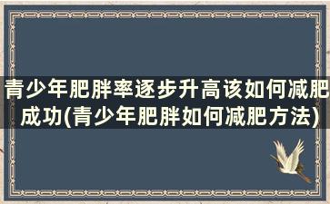 青少年肥胖率逐步升高该如何减肥成功(青少年肥胖如何减肥方法)