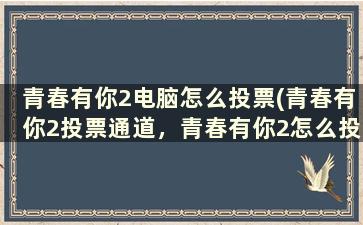 青春有你2电脑怎么投票(青春有你2投票通道，青春有你2怎么投票)