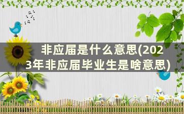 非应届是什么意思(2023年非应届毕业生是啥意思)