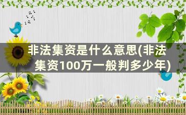 非法集资是什么意思(非法集资100万一般判多少年)