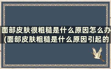 面部皮肤很粗糙是什么原因怎么办(面部皮肤粗糙是什么原因引起的)