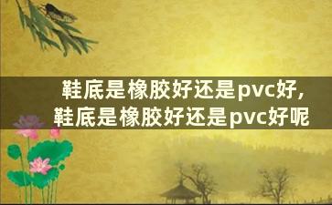 鞋底是橡胶好还是pvc好,鞋底是橡胶好还是pvc好呢