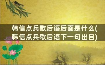 韩信点兵歇后语后面是什么(韩信点兵歇后语下一句出自)