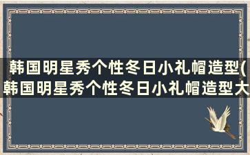 韩国明星秀个性冬日小礼帽造型(韩国明星秀个性冬日小礼帽造型大全)