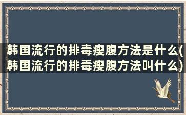 韩国流行的排毒瘦腹方法是什么(韩国流行的排毒瘦腹方法叫什么)