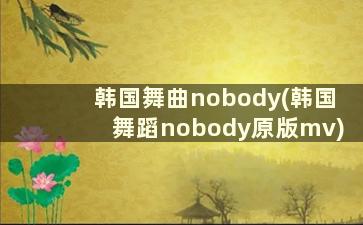 韩国舞曲nobody(韩国舞蹈nobody原版mv)