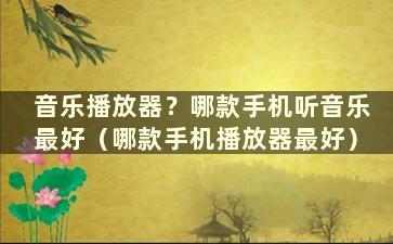 音乐播放器？哪款手机听音乐最好（哪款手机播放器最好）