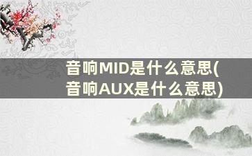 音响MID是什么意思(音响AUX是什么意思)