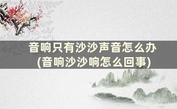 音响只有沙沙声音怎么办(音响沙沙响怎么回事)