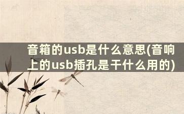 音箱的usb是什么意思(音响上的usb插孔是干什么用的)