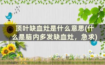 顶叶缺血灶是什么意思(什么是脑内多发缺血灶，急求)