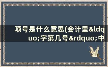 项号是什么意思(会计里“字第几号”中“第几号”代表什么意思)