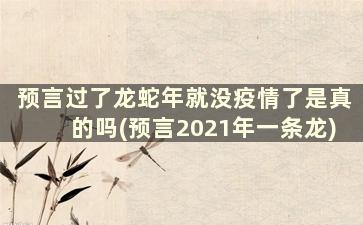 预言过了龙蛇年就没疫情了是真的吗(预言2021年一条龙)